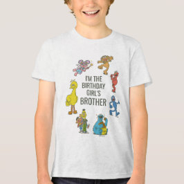 Camiseta Triblenda Vintage Sesame Street Characters Birthday Tri-Blen