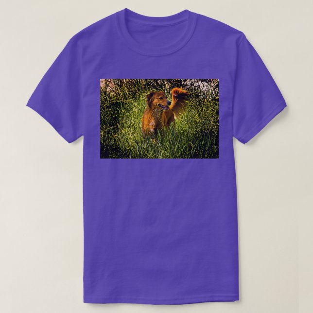 Camiseta Tributo A Mi Loca Mariposa II (Diseño del anverso)