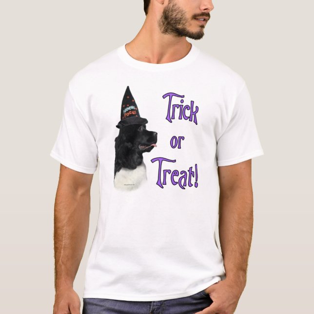 Camiseta Trick de Newfoundland (landseer) (Anverso)