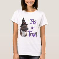 Trick de Staffordshire Bull Terrier
