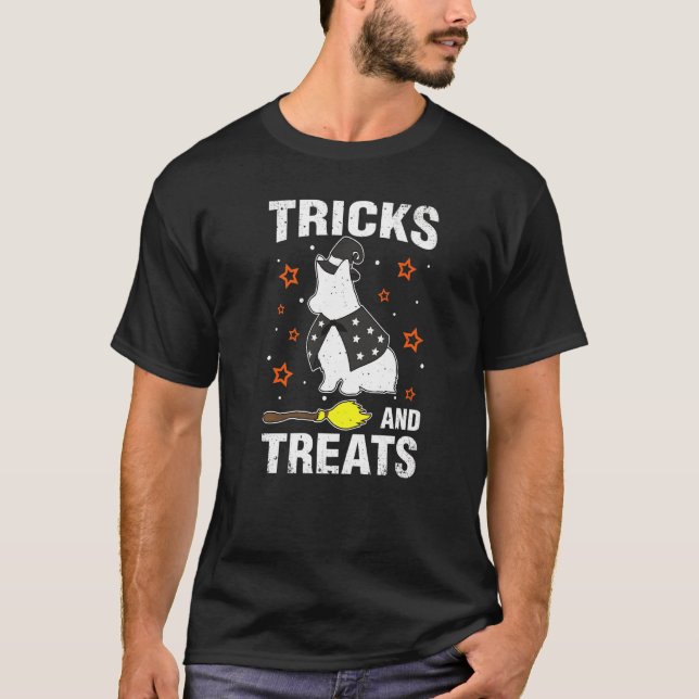 Camiseta Tricks Tricks Welsh Corgi Corgi (Anverso)