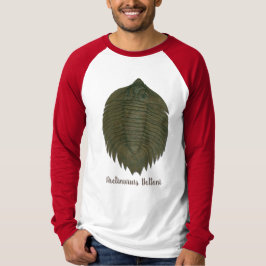 Camiseta Trilobita fósil de Arctinrus Boltoni