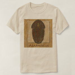 Camiseta Trilobite fósil Asaphiscus