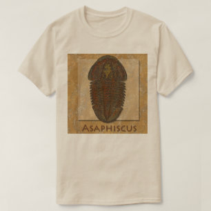 Camiseta Trilobite fósil Asaphiscus
