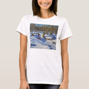 Camiseta Trineo rojo Lomberdale Pasillo Derbyshire 2014
