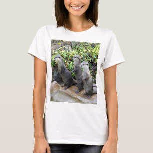 Camiseta "Triple Problema: Las Aventuras de la Tripleta de