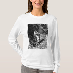 Camiseta Tritones que riegan los caballos del sol