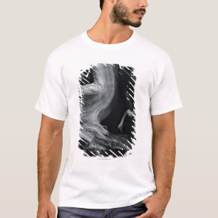 Camiseta Tronco de árbol muerto