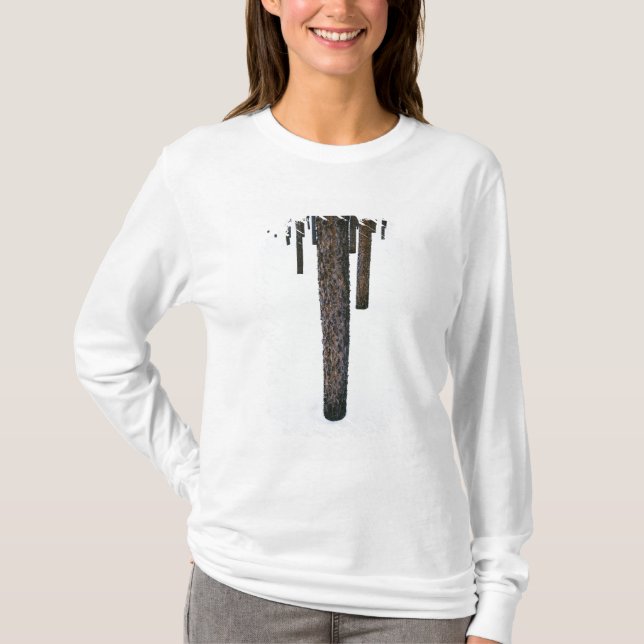 Camiseta Troncos de árbol en nieve (Anverso)