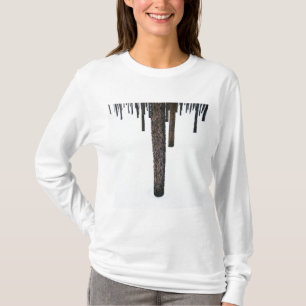 Camiseta Troncos de árbol en nieve