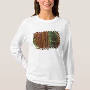 Camiseta troncos de secuoya gigante en el bosque, Yosemite