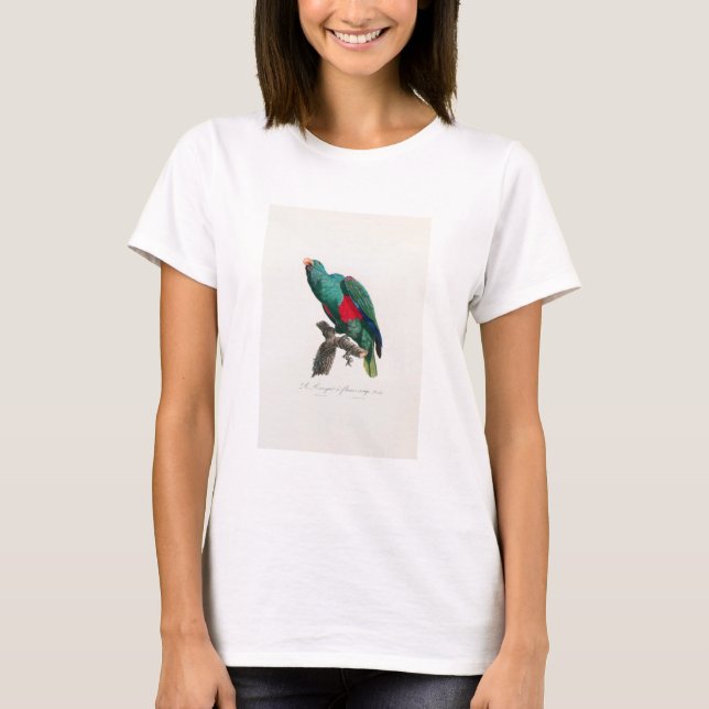 Camiseta tropical macaw parrot (Anverso)