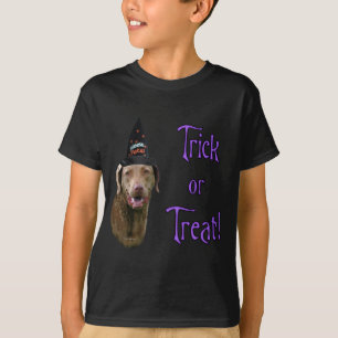 Camiseta Truco para recuperar la bahía de Chesapeake
