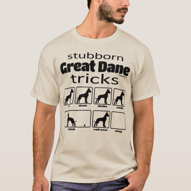 Camiseta Trucos de gran dano (Anverso)