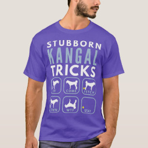 Camiseta Trucos de perro de pastor anatoliano-perro