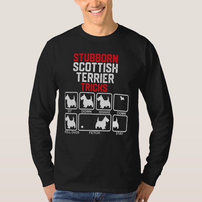 Camiseta Trucos de terror en Escocia (Anverso)