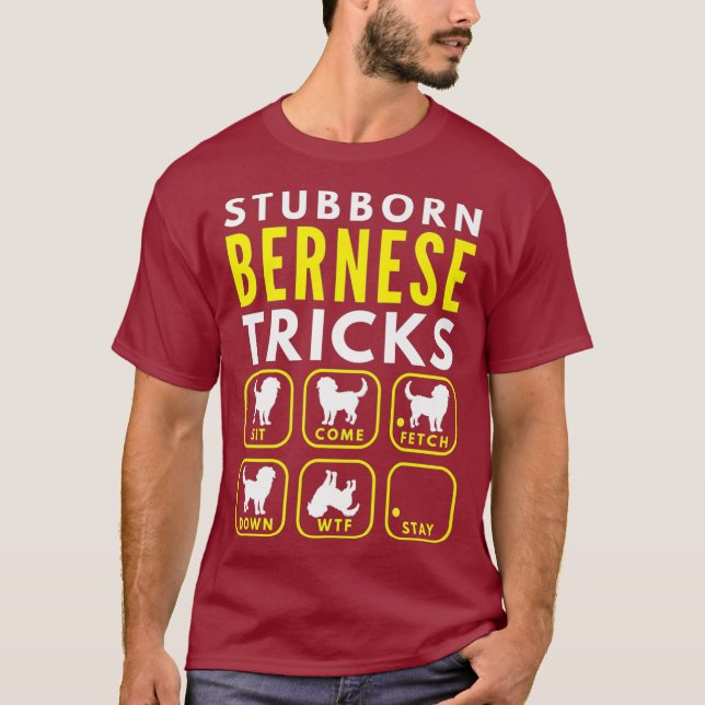 Camiseta Trucos obstinados de Bernese - Prima de entrenamie (Anverso)