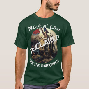 Camiseta Trump Guerra Irán Bombardeo Tour WagDog 2026