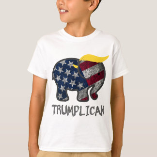 Camiseta Trumplican-1