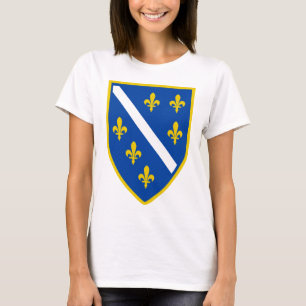 Camiseta ts.png