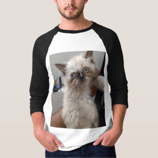 Camiseta Tshirt JN impreso para gato Himalyan
