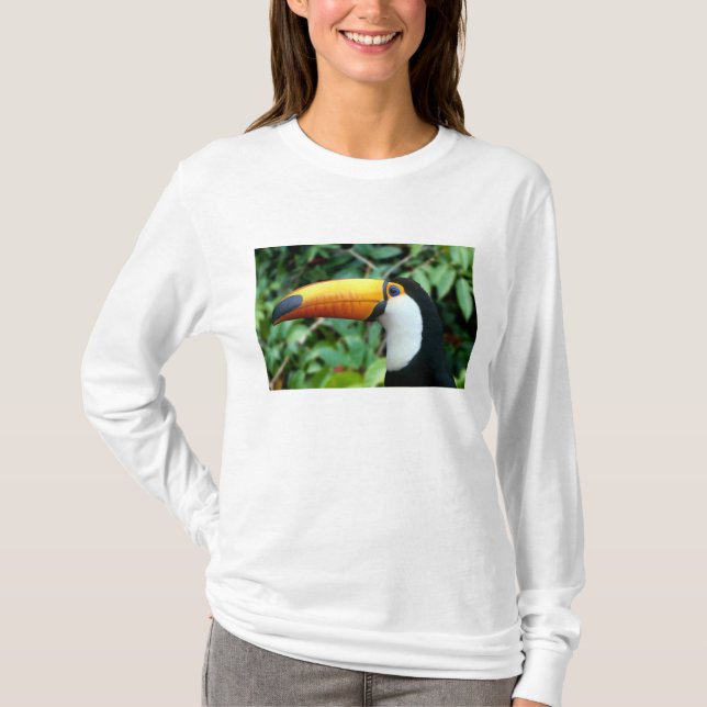 Camiseta Tucán de Pico Amarillo (Anverso)