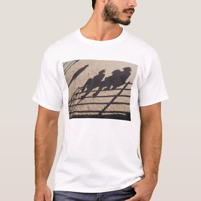 Camiseta Tucson, Arizona: Sombras de competidores de Rodeo (Anverso)