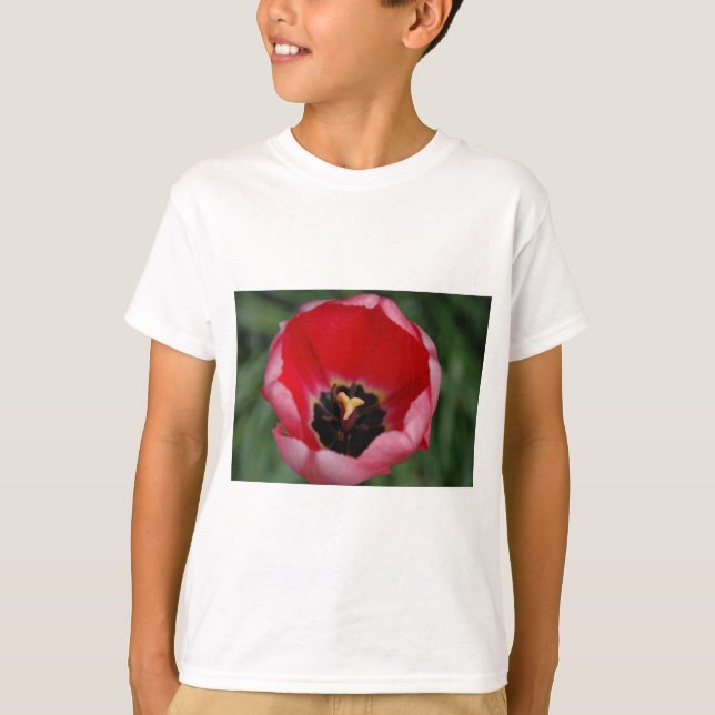 Camiseta Tulip (Anverso)