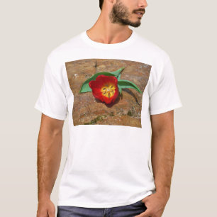 Camiseta Tulip rojo primavera