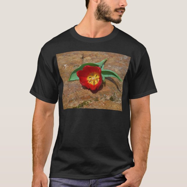 Camiseta Tulip rojo primavera (Anverso)
