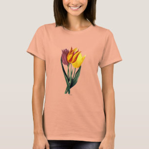 Camiseta Tulip (Tulipa Gesneriana)
