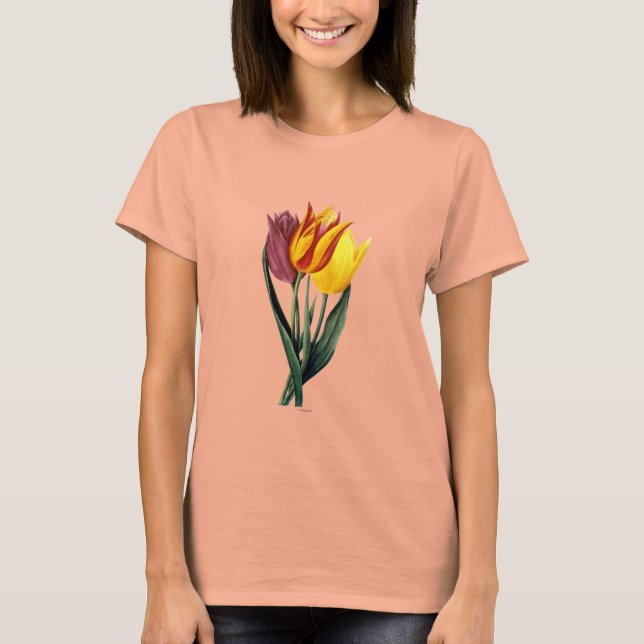 Camiseta Tulip (Tulipa Gesneriana) (Anverso)
