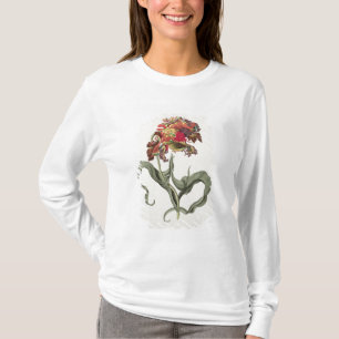 Camiseta Tulipa Monstrosa Rubra Maior de 'Phythanthoza Ic