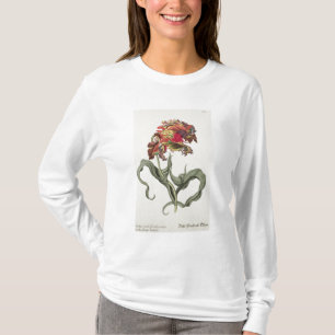 Camiseta Tulipa Monstrosa Rubra Maior de 'Phythanthoza Ic