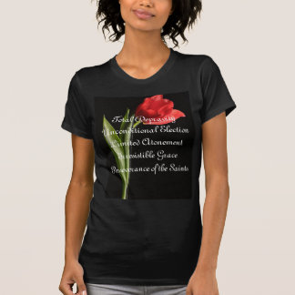 CAMISETA TULIPÁN