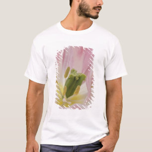 Camiseta Tulipán en primer plano, Jardines Keukenhof, Lisse