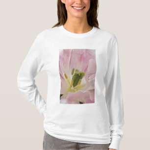 Camiseta Tulipán en primer plano, Jardines Keukenhof, Lisse