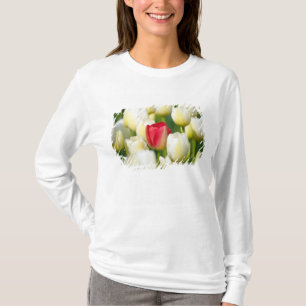 Camiseta Tulipán rojo en un campo de los tulipanes blancos