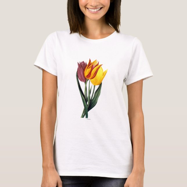 Camiseta Tulipán (Tulipa Gesneriana) (Anverso)