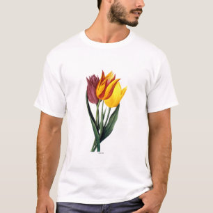 Camiseta Tulipán (Tulipa Gesneriana)