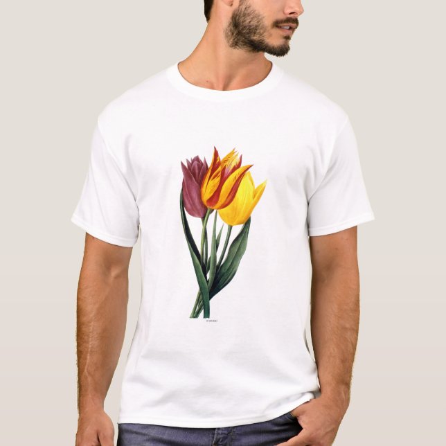 Camiseta Tulipán (Tulipa Gesneriana) (Anverso)