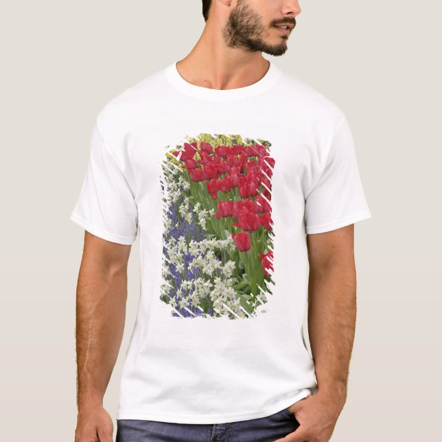 Camiseta Tulipán y jardín daffodil, Keukenhof Gardens, (Anverso)