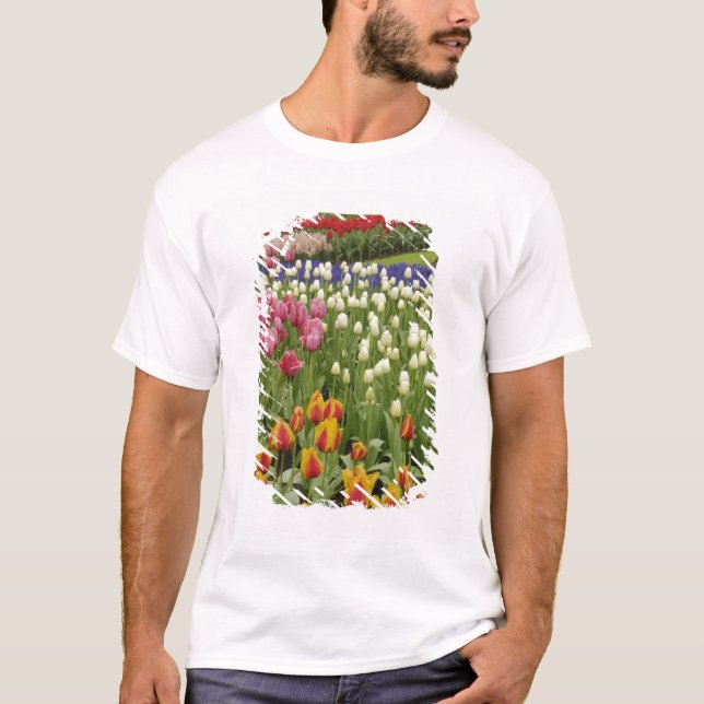Camiseta Tulipán y jardín de jacinto, Keukenhof Gardens, (Anverso)