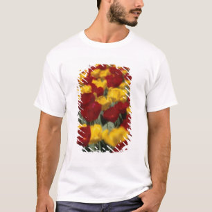 Camiseta Tulipanes