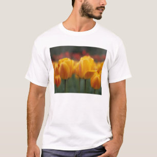 Camiseta Tulipanes 2