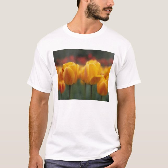 Camiseta Tulipanes 2 (Anverso)
