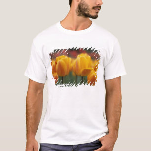 Camiseta Tulipanes 2