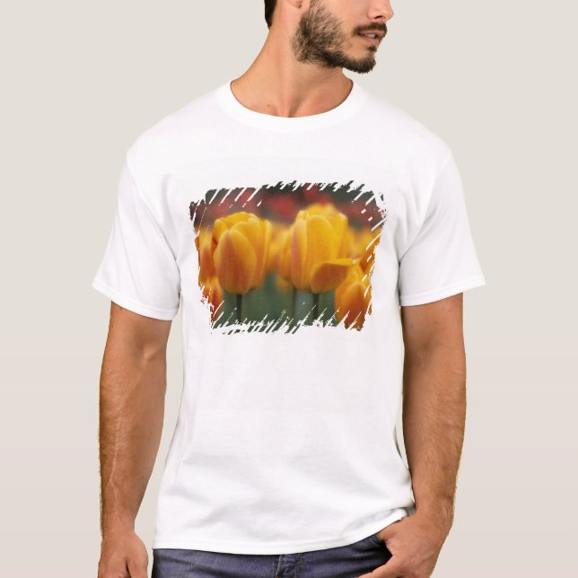 Camiseta Tulipanes 2 (Anverso)