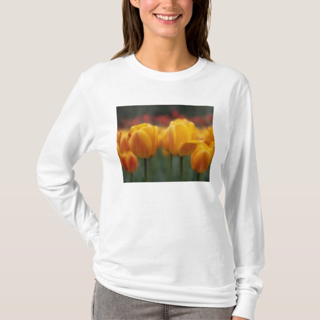 Camiseta Tulipanes 2 (Anverso)