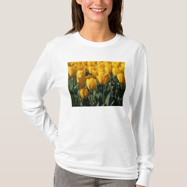 Camiseta Tulipanes 3 (Anverso)